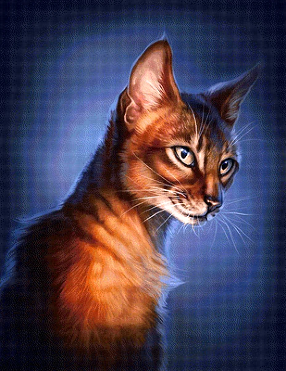 Абиссинская кошка коты Воители