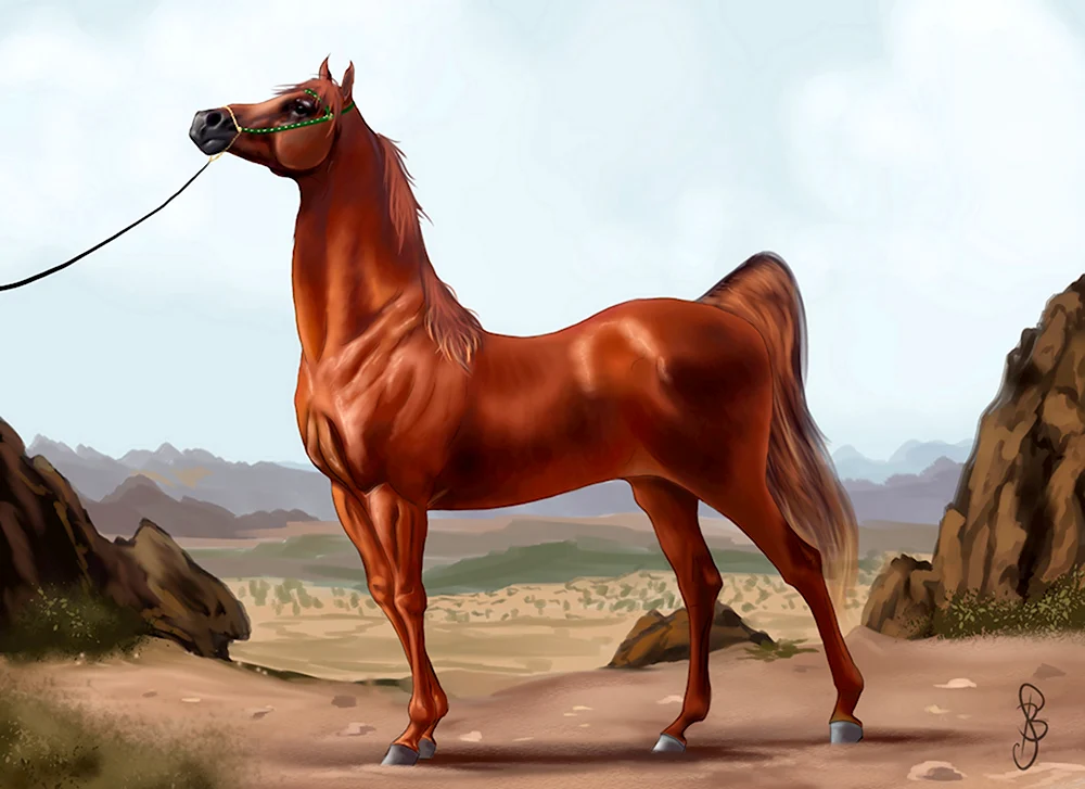 Ахалтекинская лошадь ловади