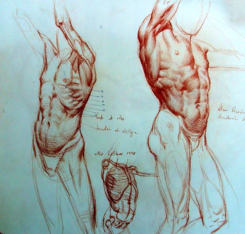 Александр Рыжкин анатомия тела