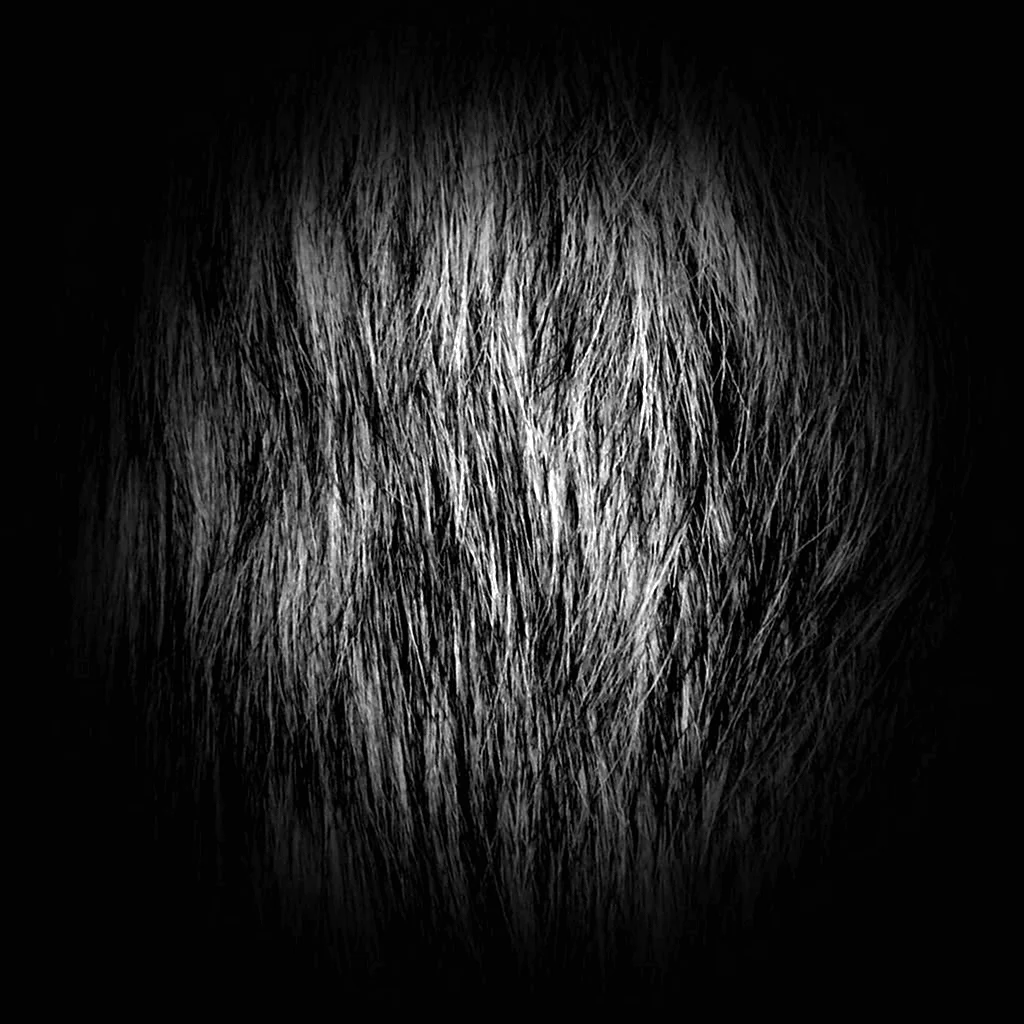 Альфа волос Zbrush