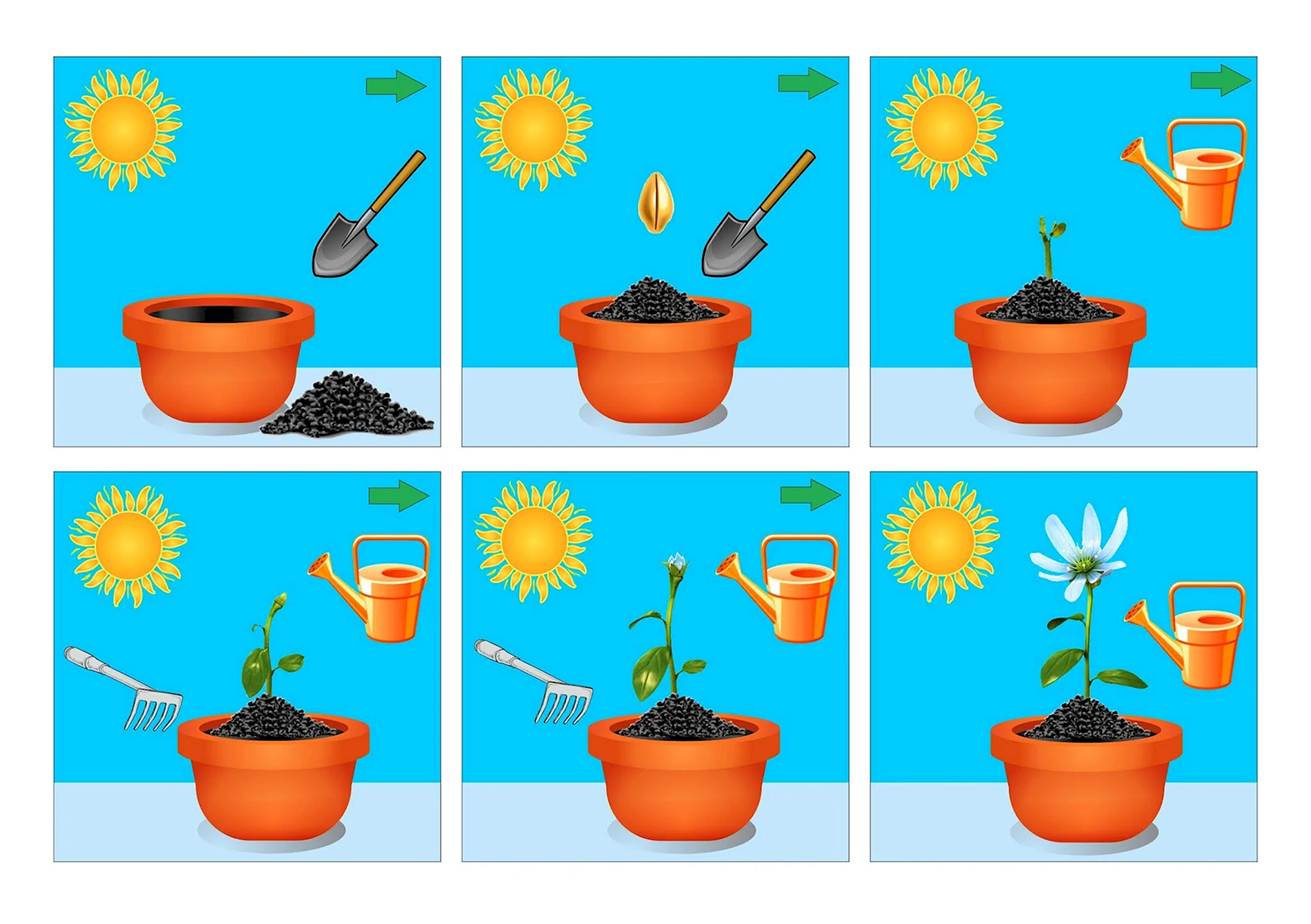 Алгоритм посадки растений