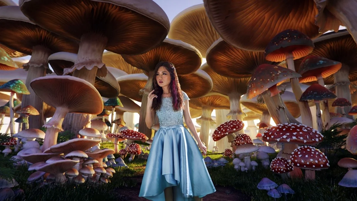 Алиса в стране чудес грибы