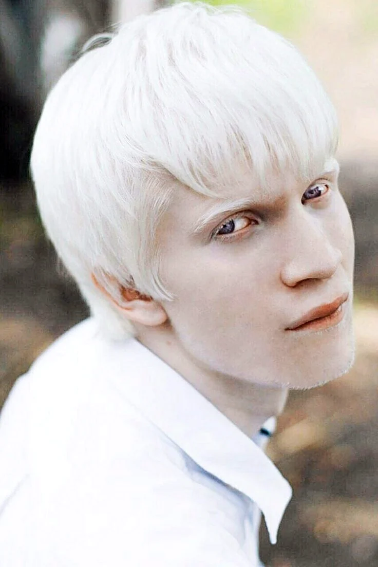 Амаль Софи альбинос