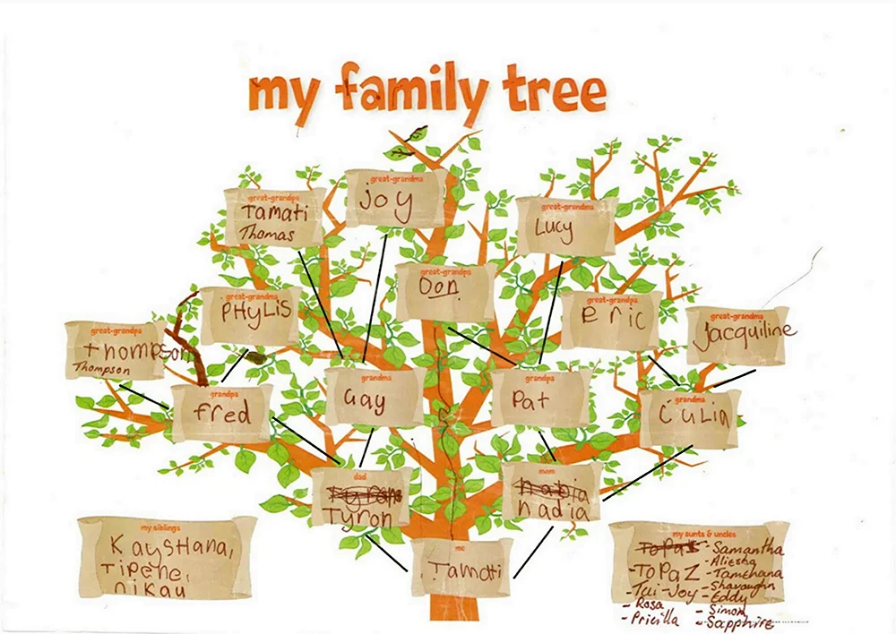 Английский язык my Family Tree