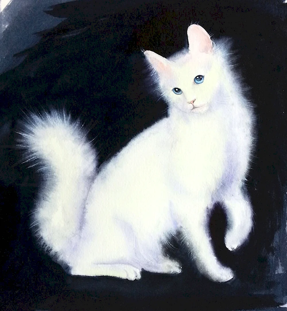 Ангорская кошка белая с голубыми глазами