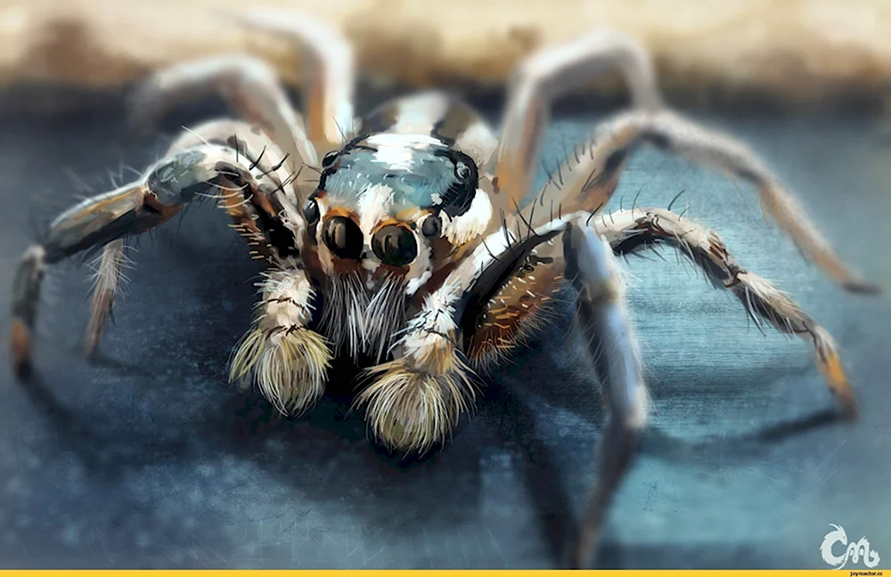 Арагог паук