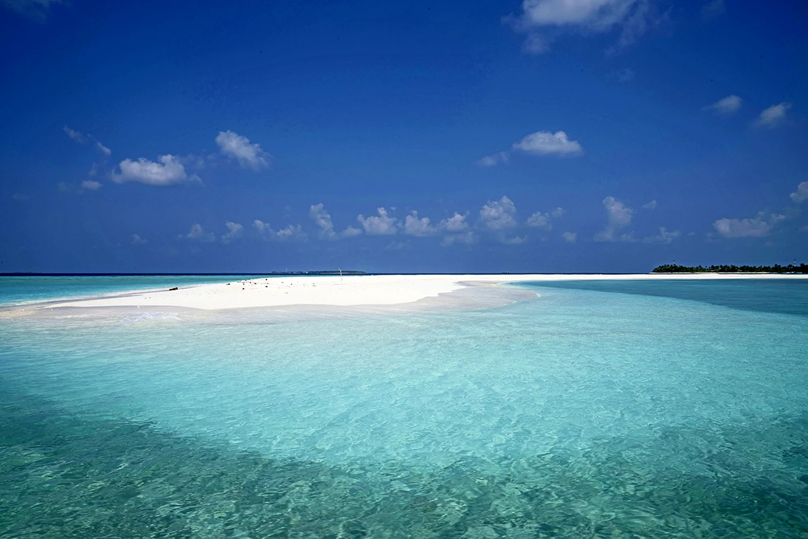 Атлантический океан в Мальдивах что