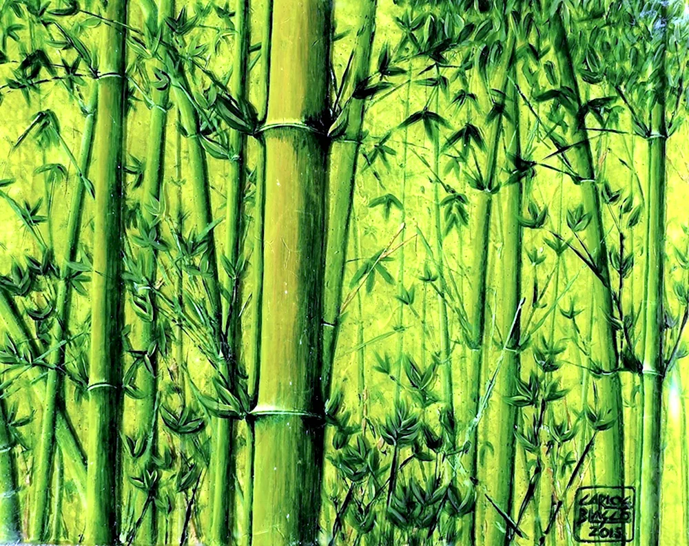 Бамбук арт