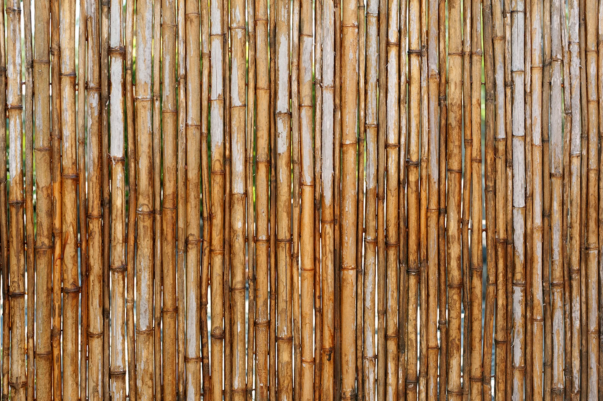 Бамбук фактура