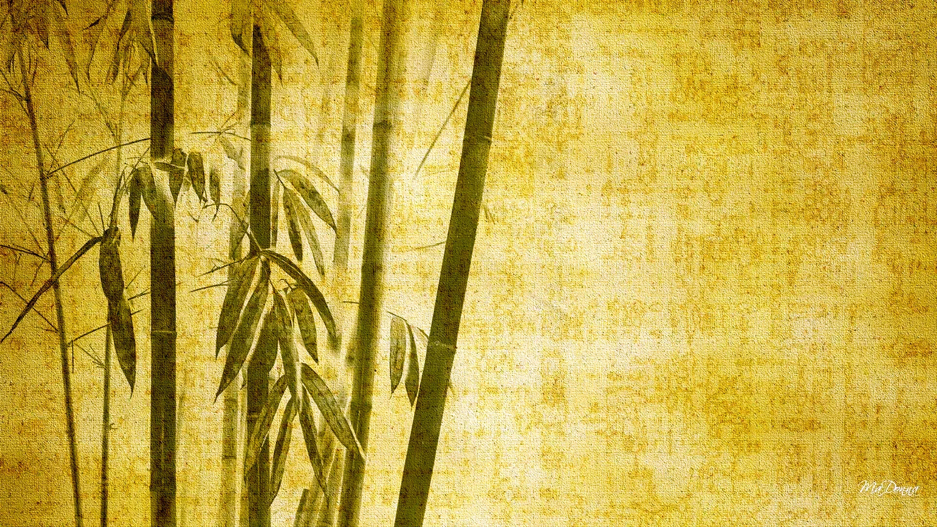 Бамбук японский Ориенталь