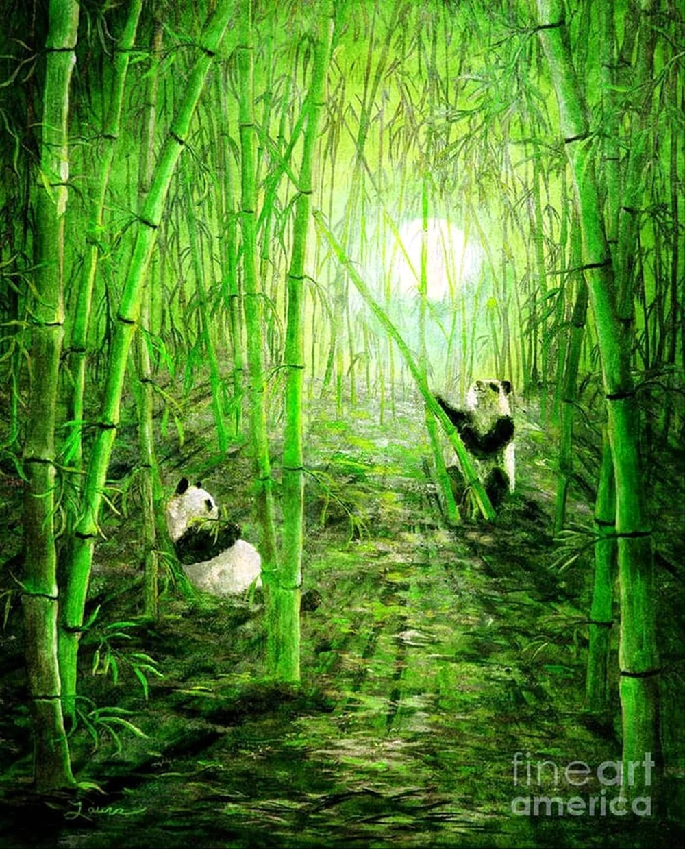 Бамбук пейзаж