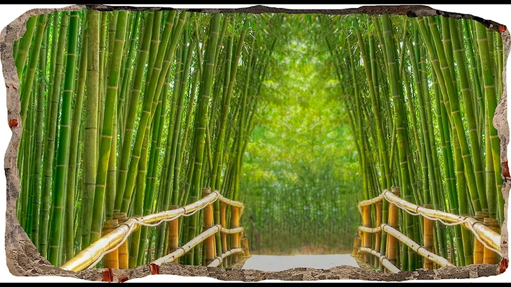 Бамбуковая роща картина