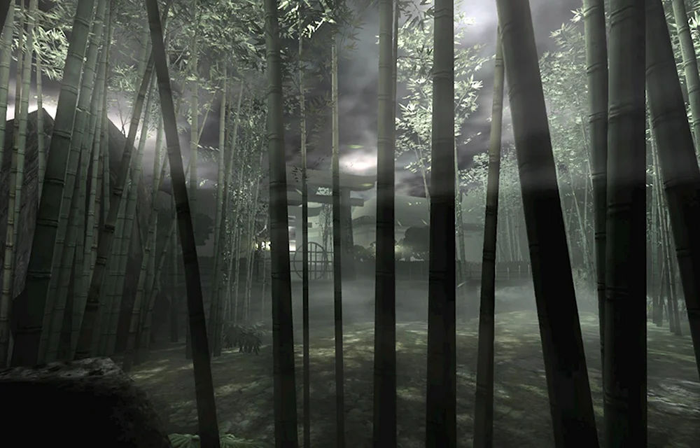 Бамбуковый лес ночью
