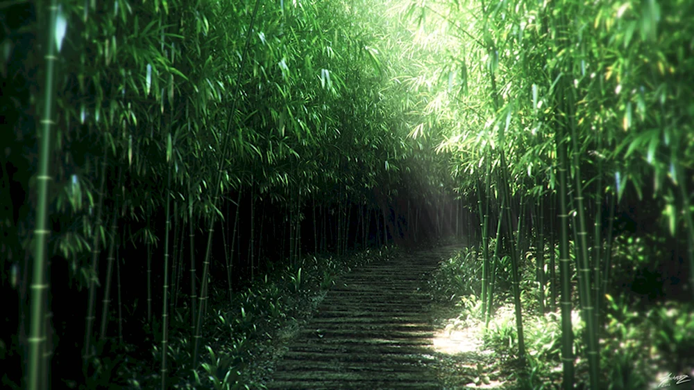 Бамбуковый лес Сагано Япония