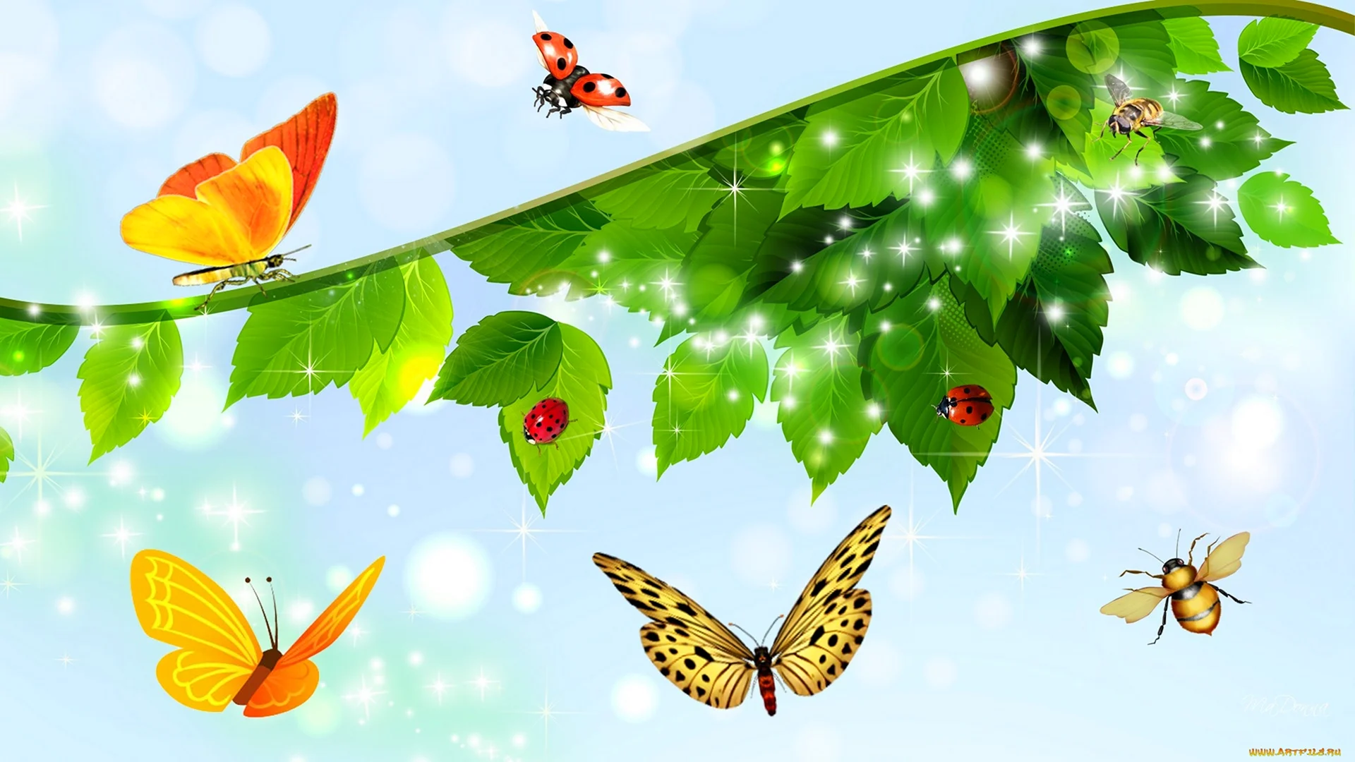 Баннер с бабочками