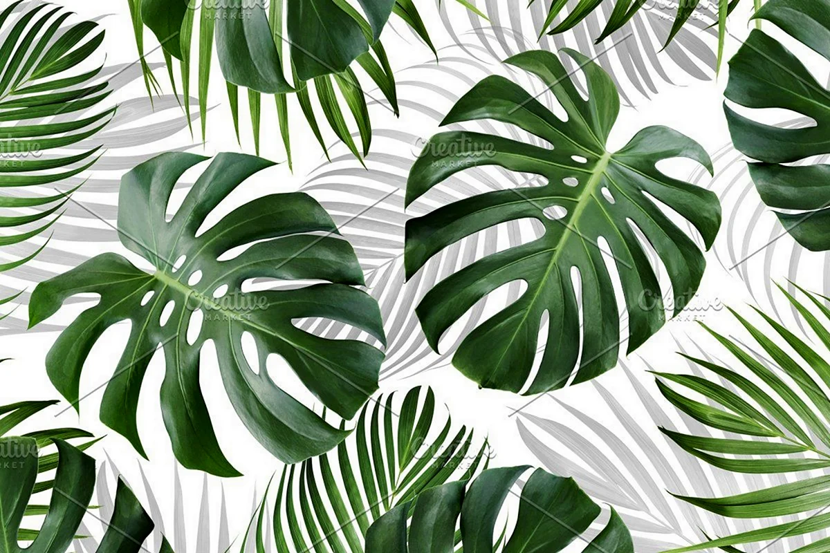 Баннер с тропическими листьями