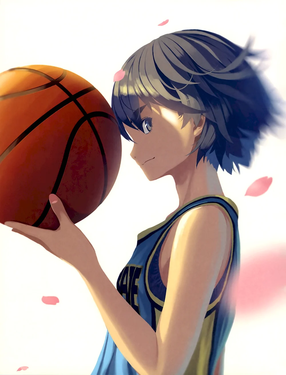 Баскетбольный мяч баскетбол Куроко