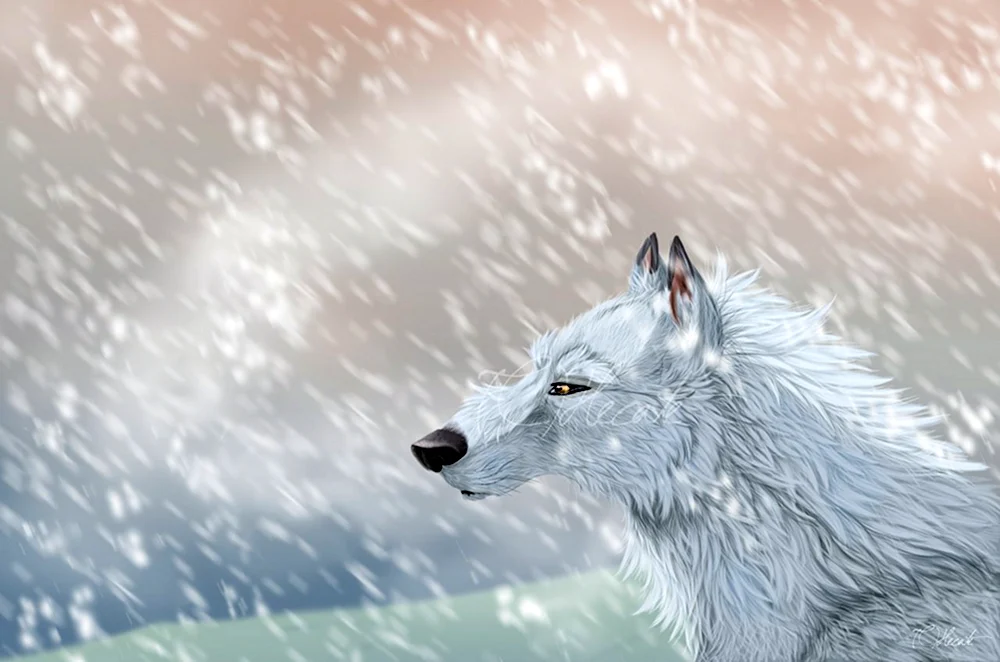 Белая волчица аниме с голубыми глазами