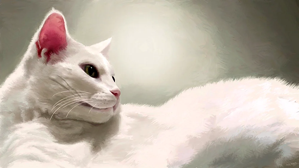 Белый кот арт