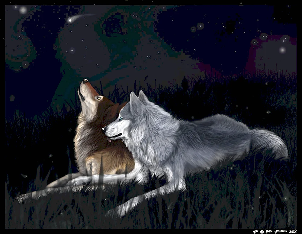 Белый волк и рыжий волк