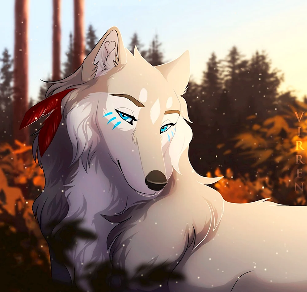 Белый волк Tazihound