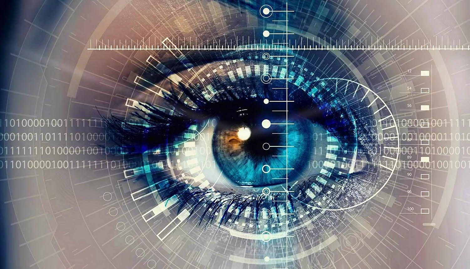 Биометрические системы защиты по радужной оболочке глаза