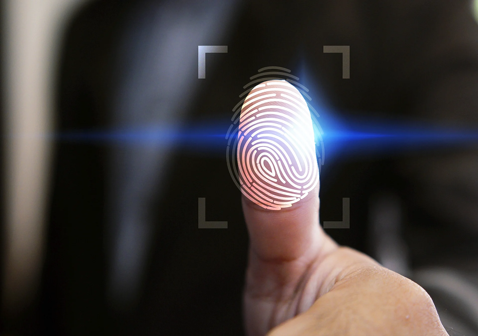 Биометрия отпечаток пальца