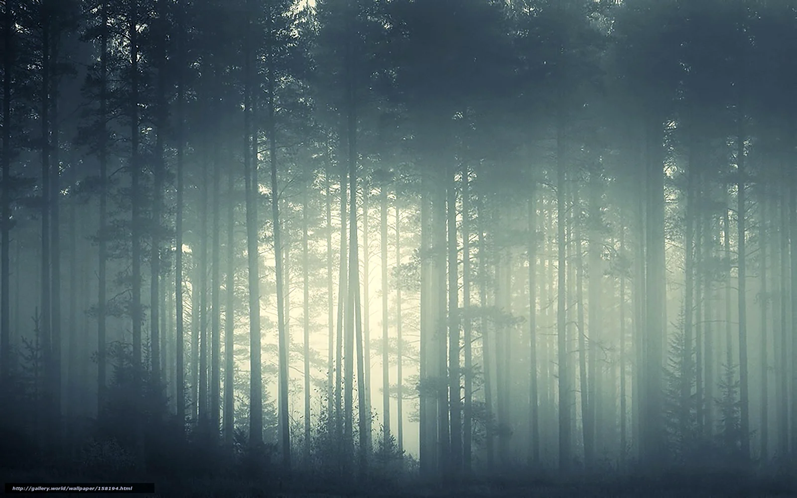 Бледный лес