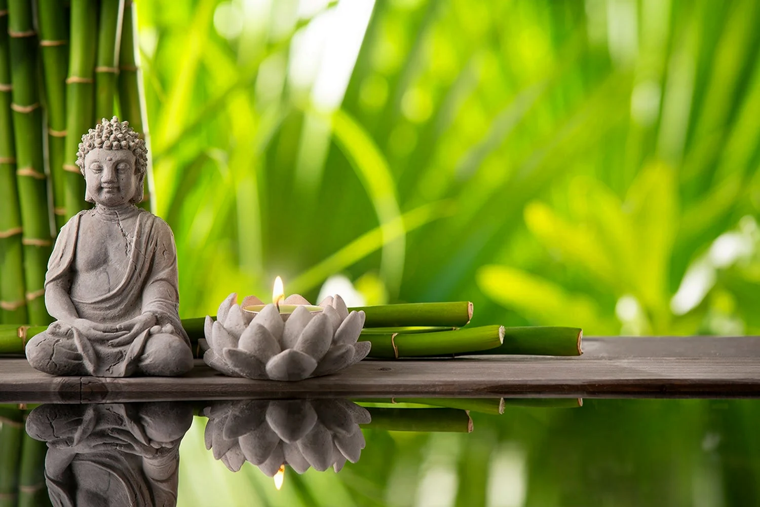 Будда бамбук
