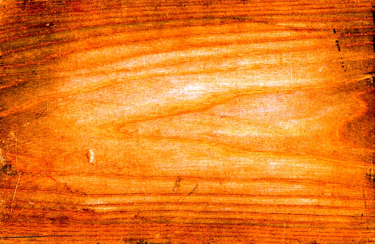 Бук древесина