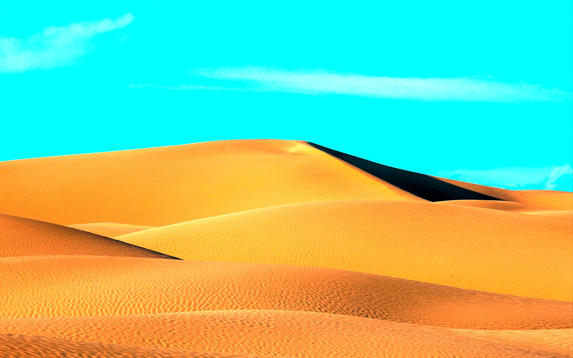 Бурая пустыня Дюна