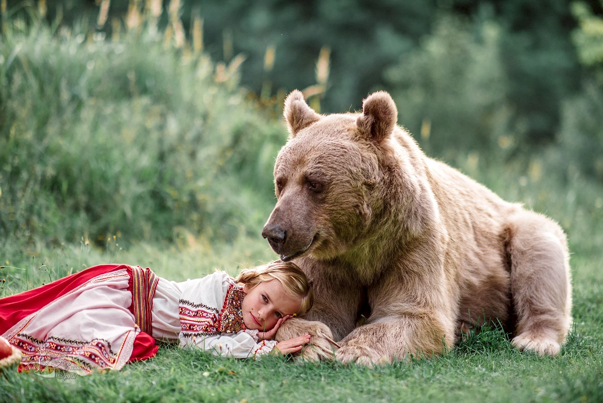 Бурый медведь Степан