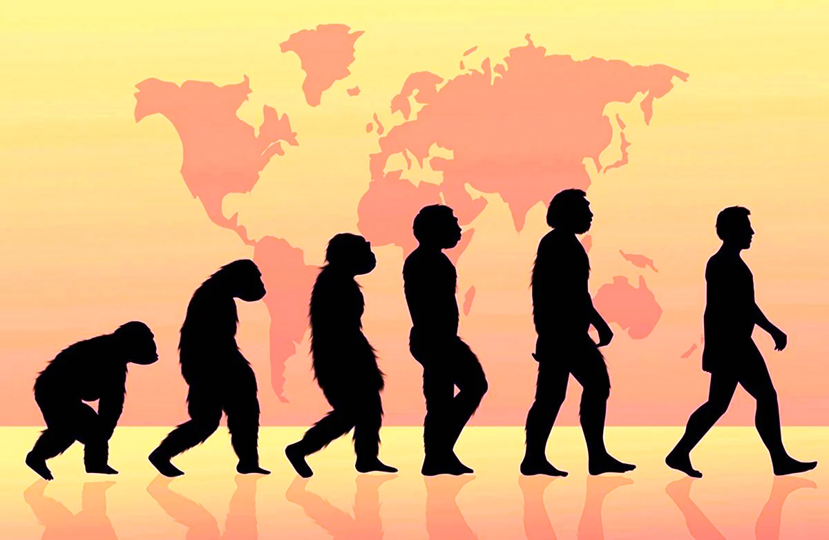 Человек Эволюция и антропология