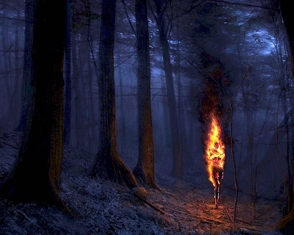 Человек с факелом в лесу