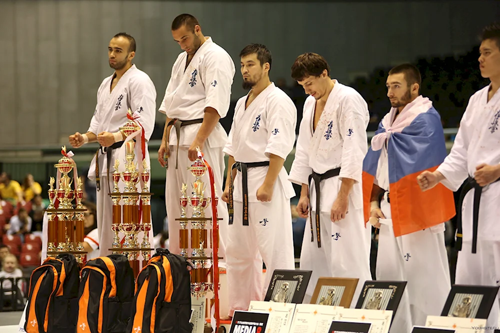 Чемпионат мира по каратэ киокушинкай