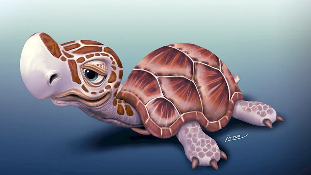 Черепаха Матурин