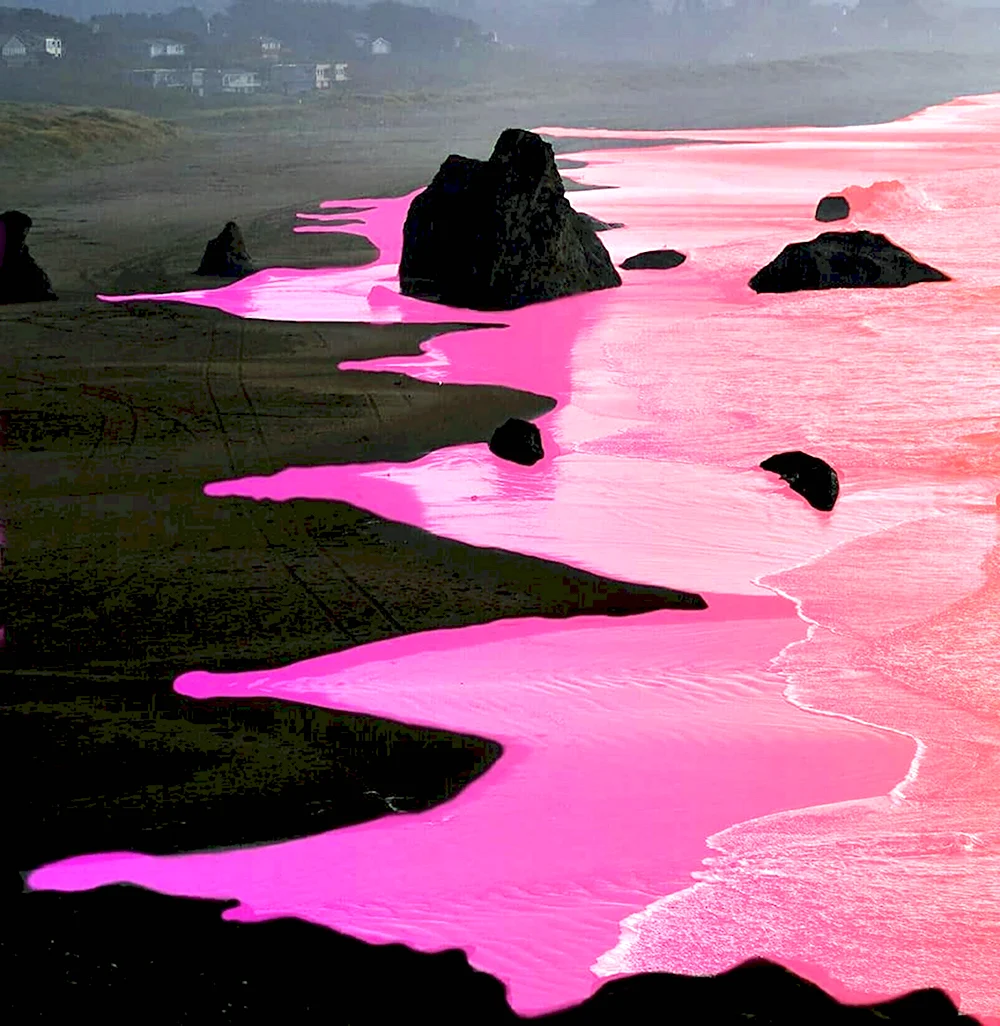 Черно розовое море