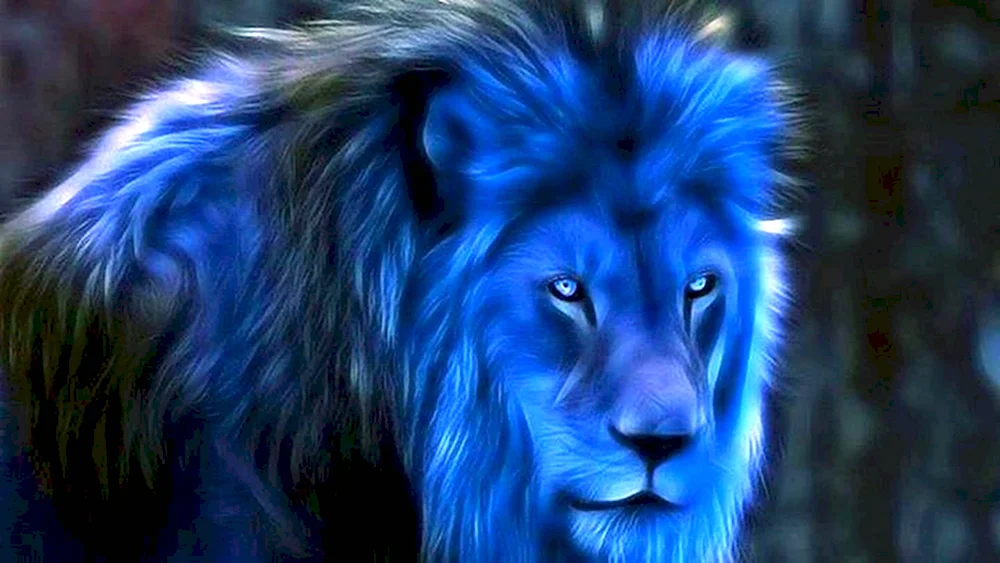 Черно синий Лев