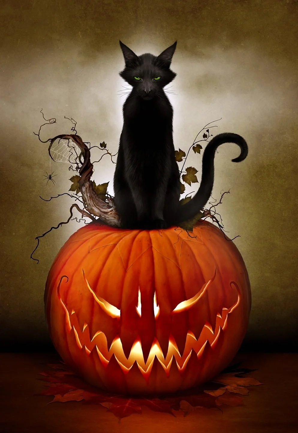Черный кот Хэллоуин