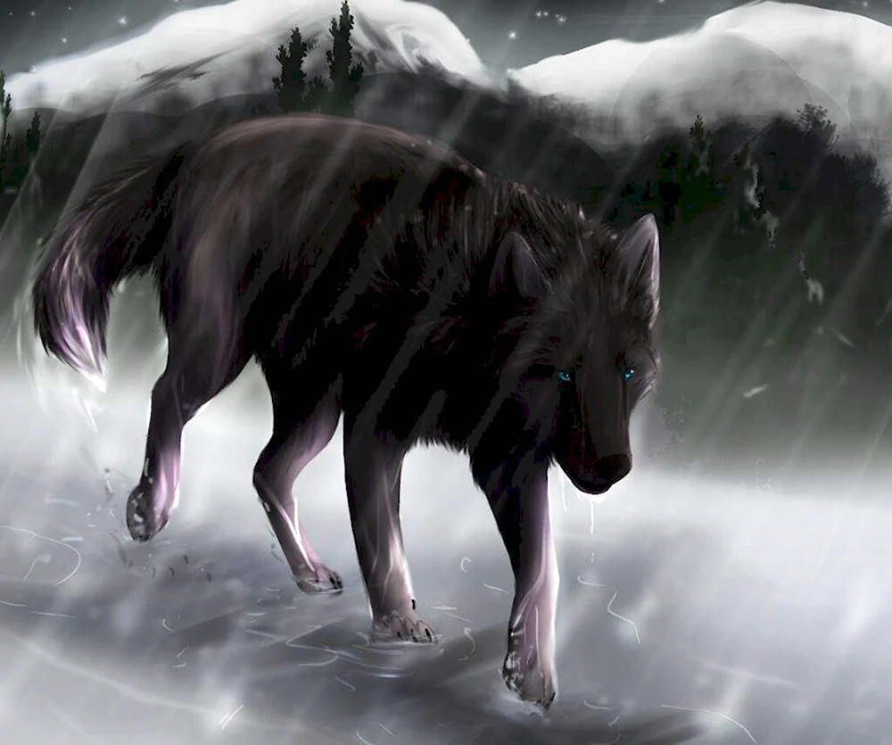Черный волк бежит