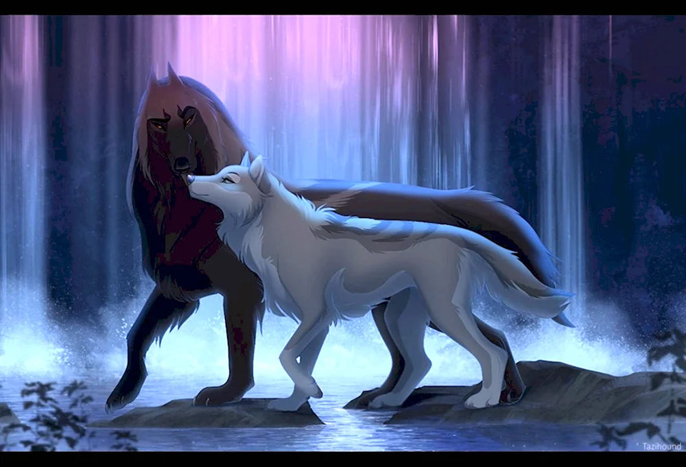 Чёрный волк и белая волчица аниме