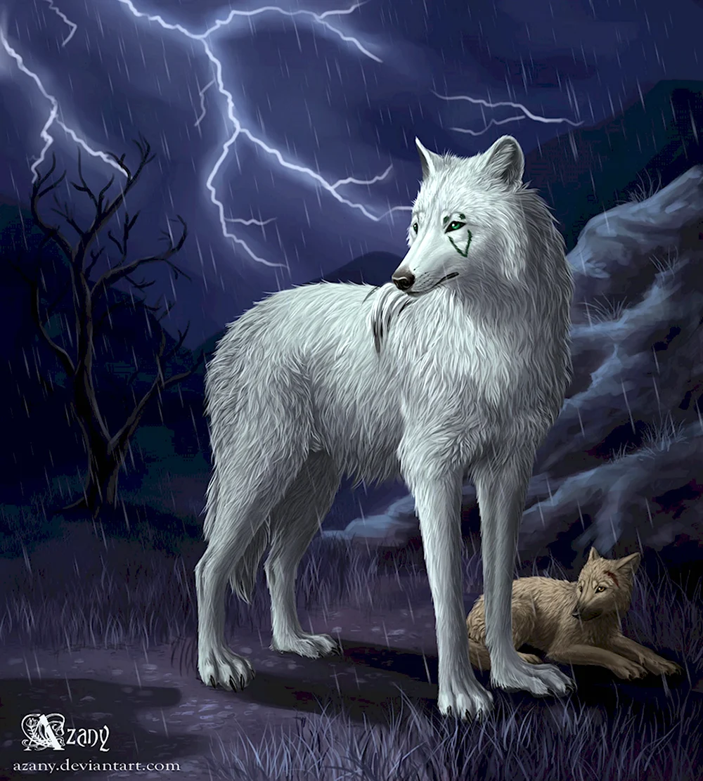 Черный волк и белая волчица арт