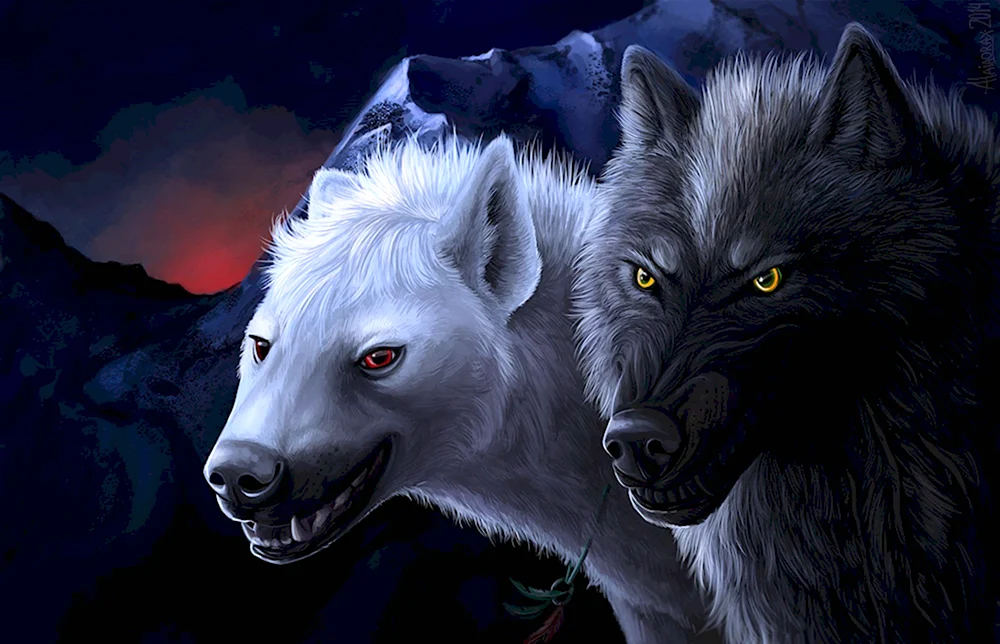 Черный волк и белая волчица арт