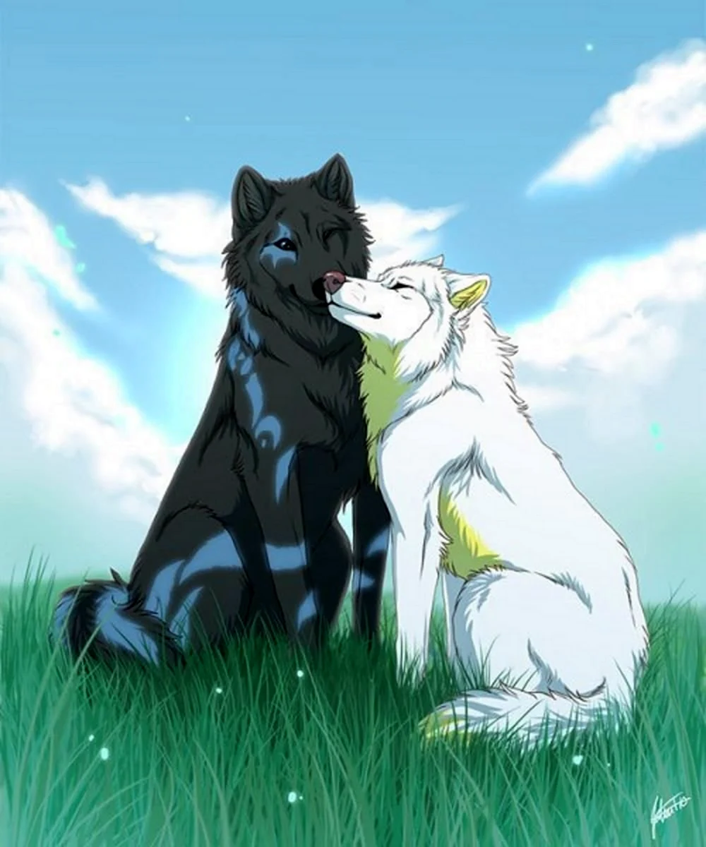 Черный волк и волчица аниме