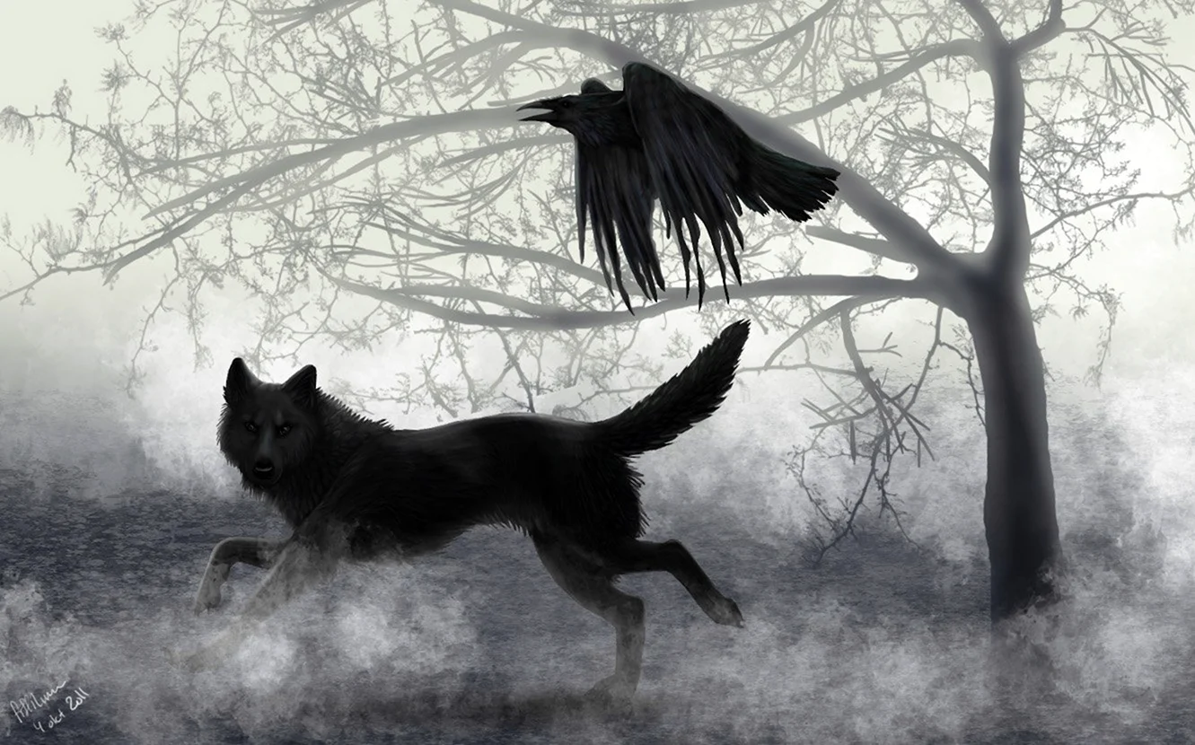Черный ворон и волк