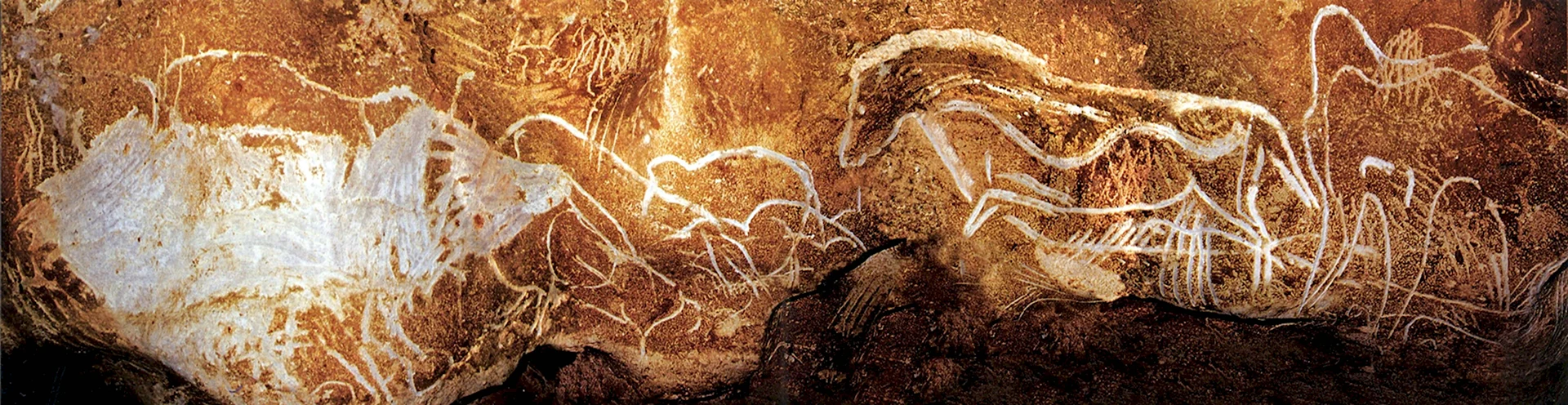 Четыре лошади пещера Шове Франция ок 37-33 тыс до.н.э