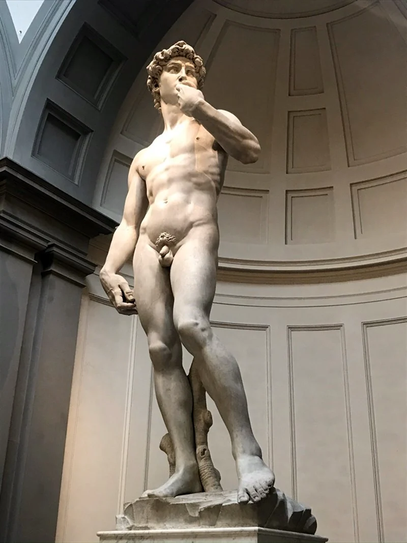Давид Микеланджело