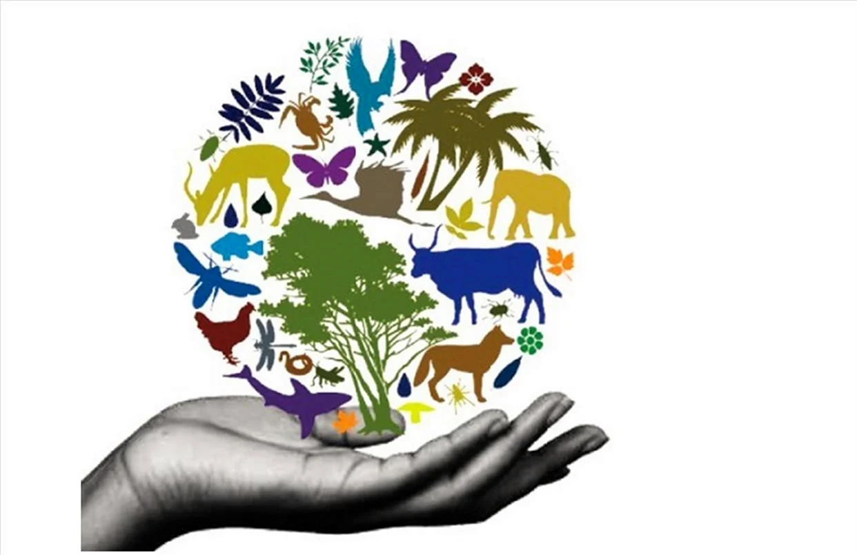 День биологического разнообразия