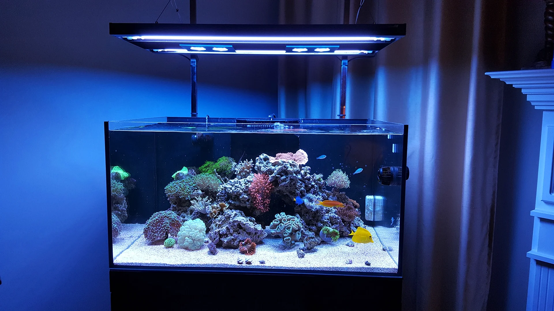 Dennerle Marinus Reef Light 36вт