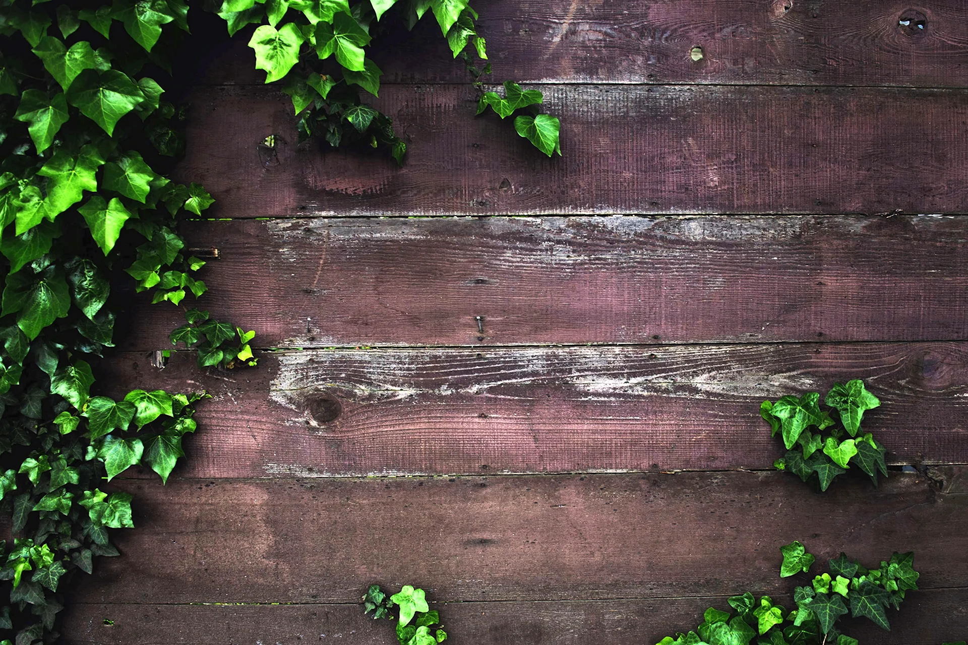 Деревянная стена